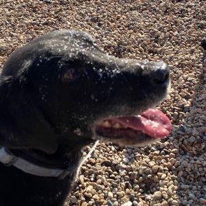 Meet your Posher, Matt